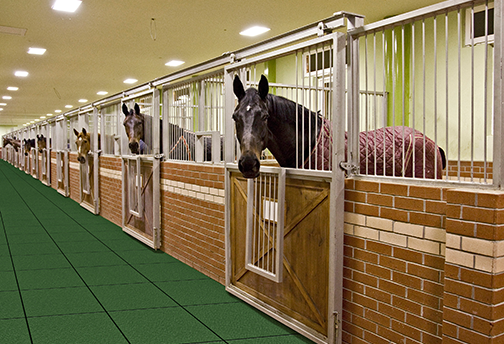 Green Rubber Equine Flooring in Barn - Rubber Decking - Equine Flooring - Barn Floor Tile