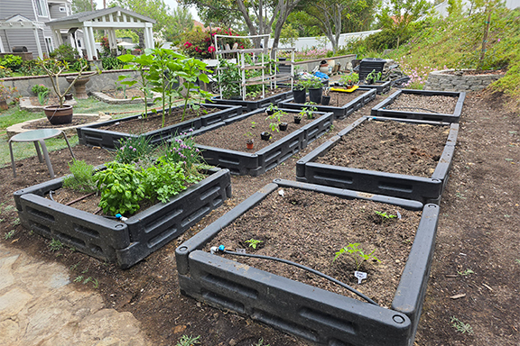 Raised Garden Beds