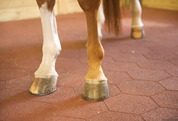 Sofscape Rubber Hexagonal Pavers -Interlocking Rubber Paver - Equine Flooring - Rubber Decking - Playground Surfacing - Barn Floor