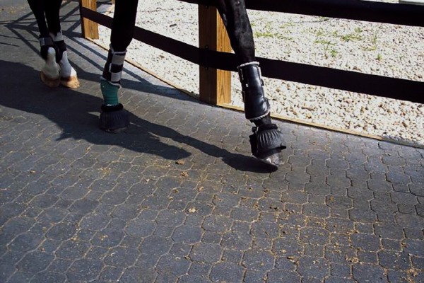 Keystone Interlocking Tile with Horse