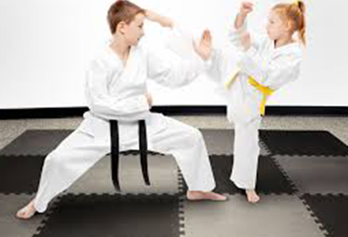 Martial Arts on Jumbo EVA Tiles - Athletic Flooring - Trade Show Flooring - Playground Surfacing