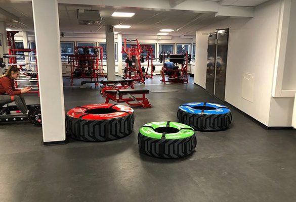 PaviGym Virgin Rubber Tiles