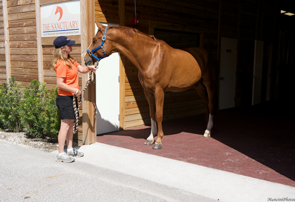 SofScape Rubber Equine Pavers - Recycled Rubber Paver - Equine Flooring - Rubber Decking - Playground Surfacing - Barn Floor