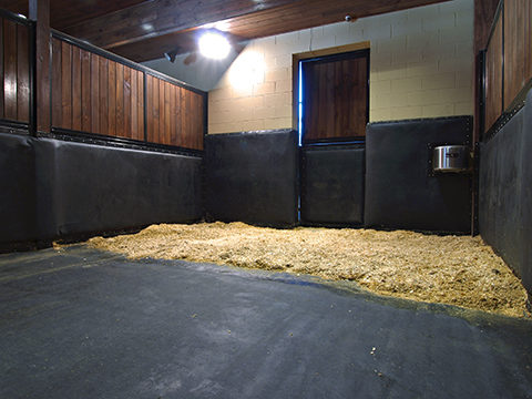 StableComfort Stall with Bedding