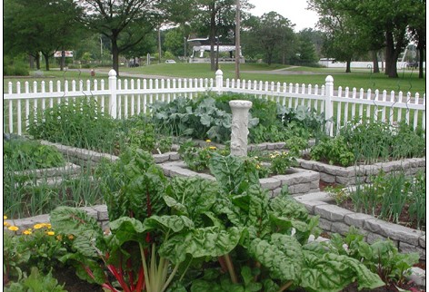 Rock Lock Vegetable Garden - Plastic Border - Retaining Wall - Playground Border - Raised Garden - Landscape Timbers