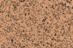 2020_SSI_Prem95_Sedona_LR