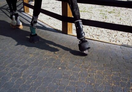 Keystone Interlocking Tile with Horse