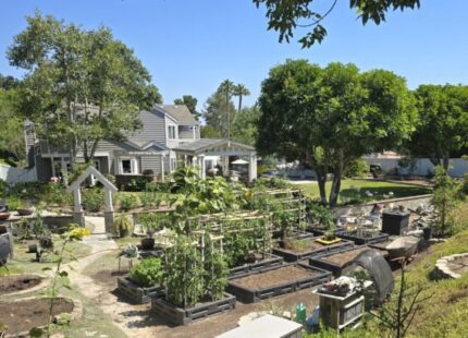 2 x 2 12" Plastic Borders used to make raised garden beds. 2