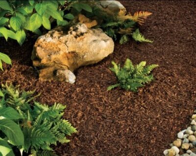 Brown Premium Shredded Rubber Mulch for Landscaping