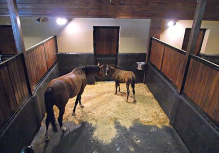 Stable Comfort Stable Comfort Cushioned Stall Mat System