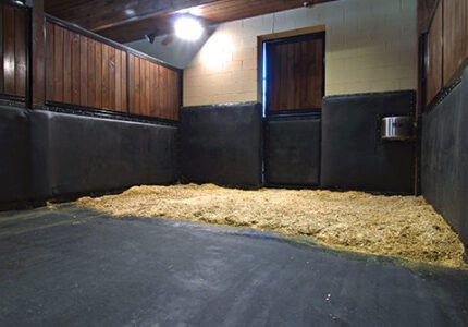 Stable Comfort Stable Comfort with Bedding