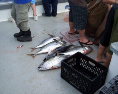 UltraTuff Fishing Boat