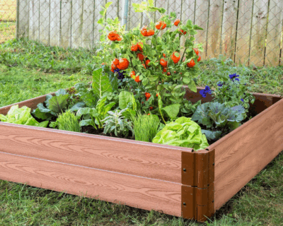 Frame It All Raised Garden System