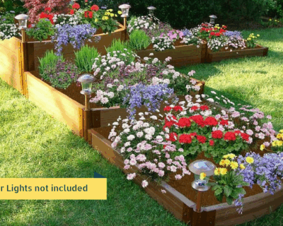 Terraced Raised Garden Beds with Curved edges.