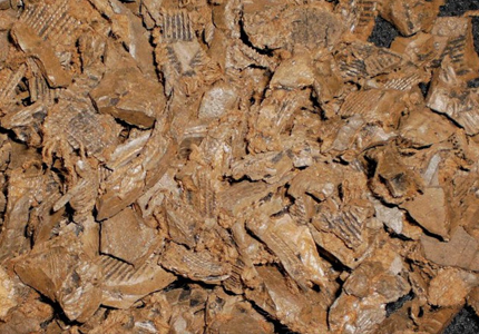 Light Brown Colored Rubber Nugget Mulch
