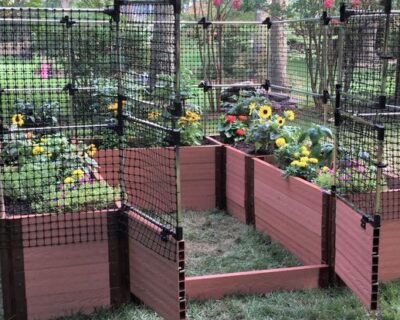 Frame-It-All Walk-In Raised garden with Animal Protection
