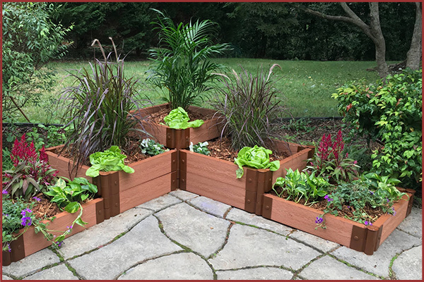 Frame It All Raised Garden Bed